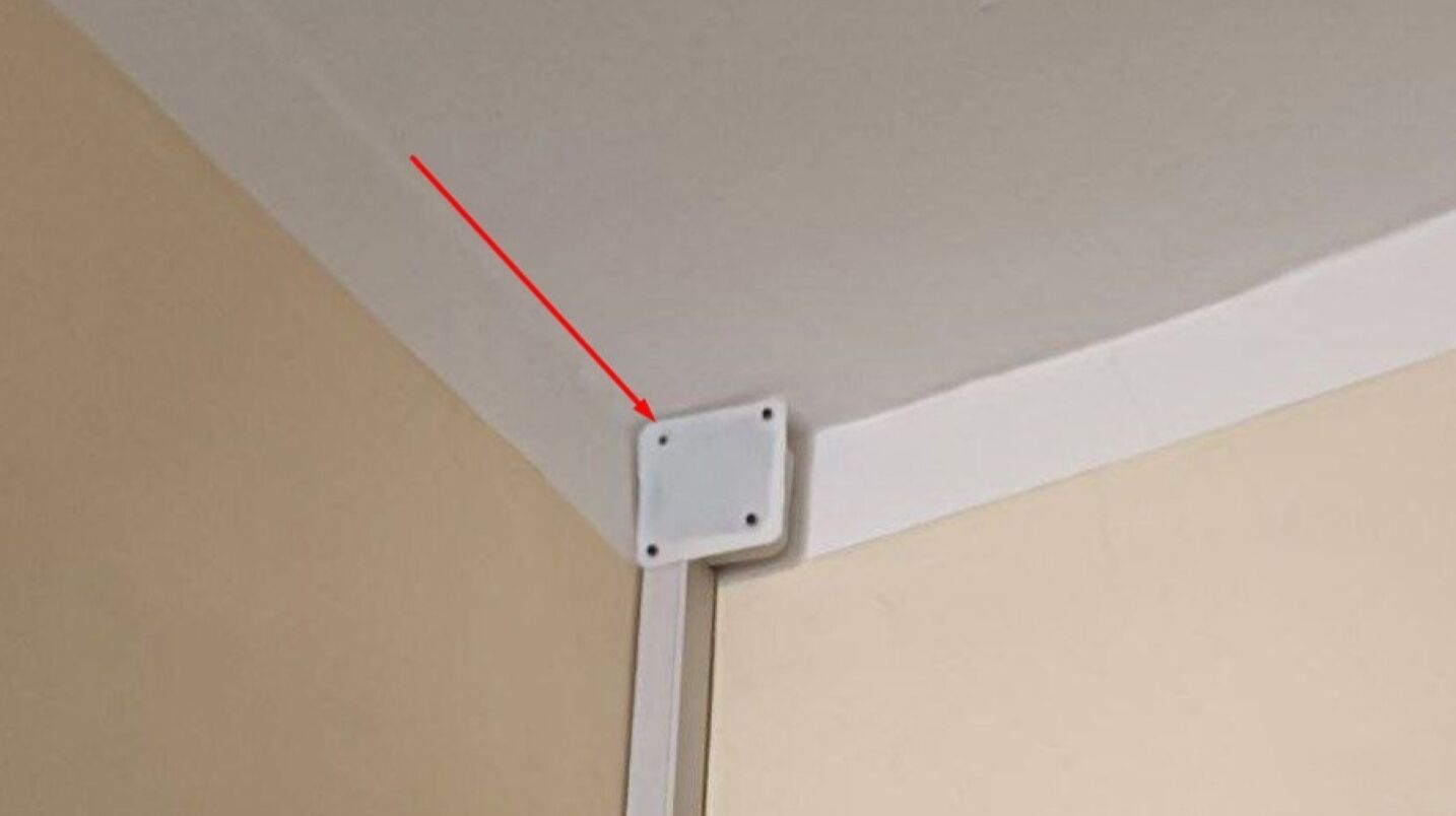 Терең жұлдырудағы үлкен мүше